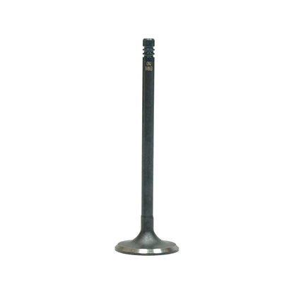 Intake Valve 1994-1995 BMW 3.0L