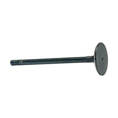 Intake Valve 1994-1995 BMW 3.0L