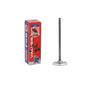 Intake Valve