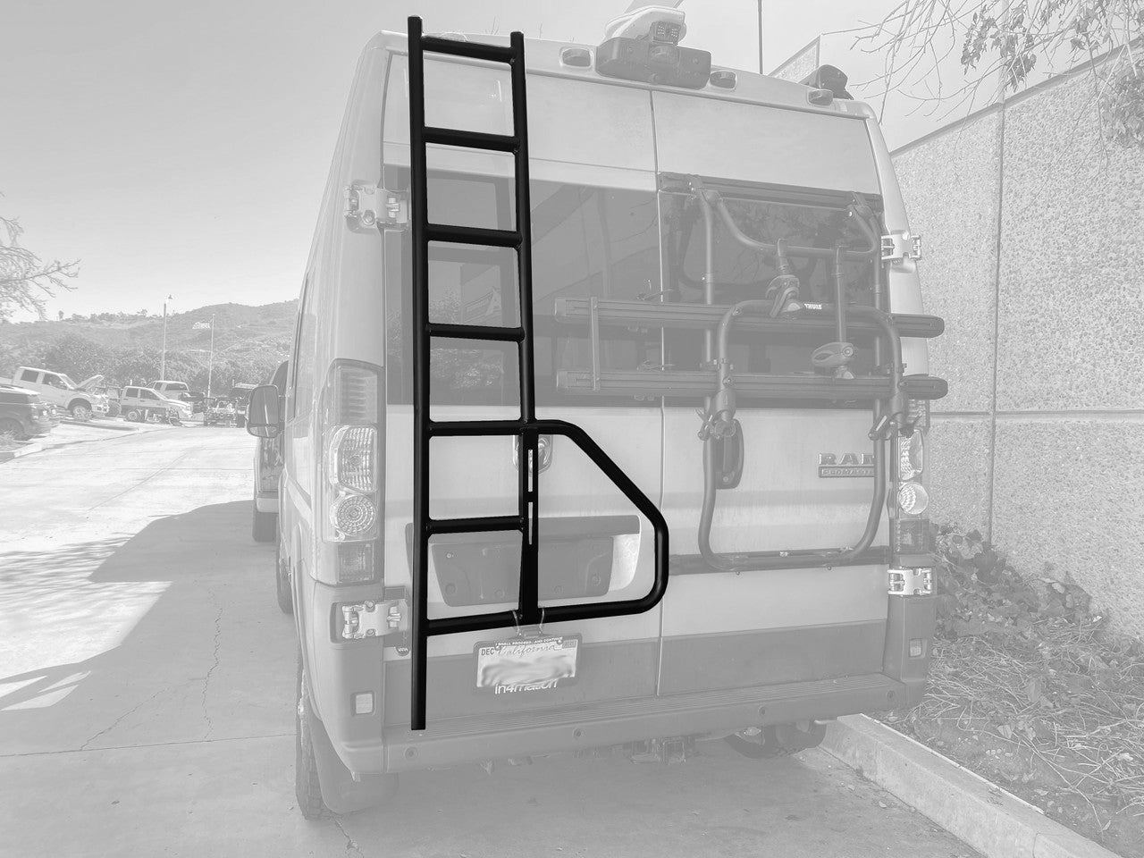 Rear Door Ladder - 2014-25 RAM Promaster (Configuration: With Low Roof; Style: Without Tire/Box Mount)