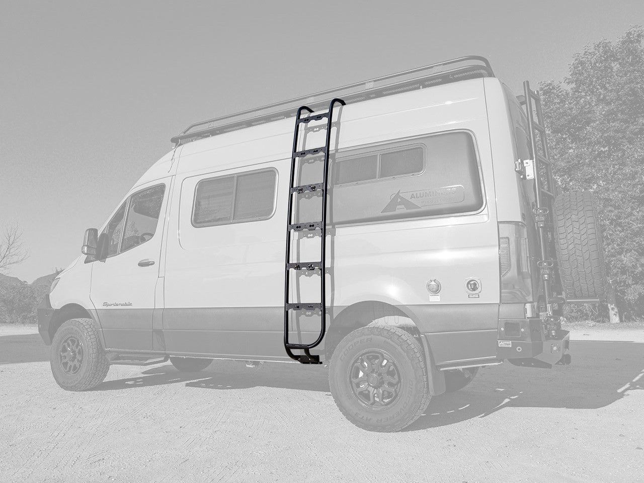 Legacy Side Ladder - 2019-25 Sprinter (Configuration: Low Roof)