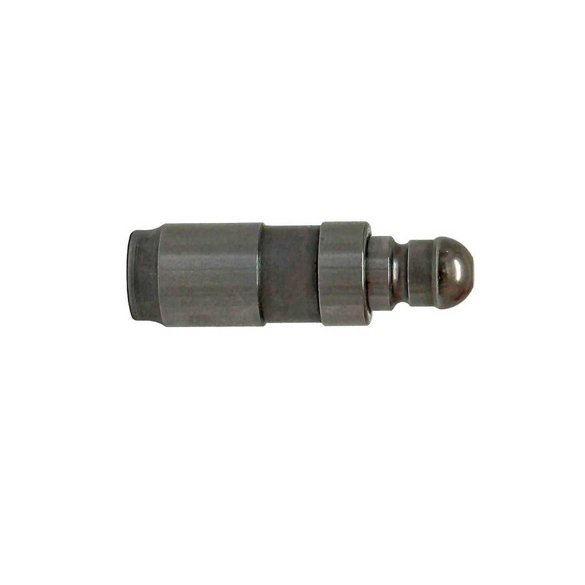 Valve Lifter 2002-2010 BMW 4.4L-4.8L