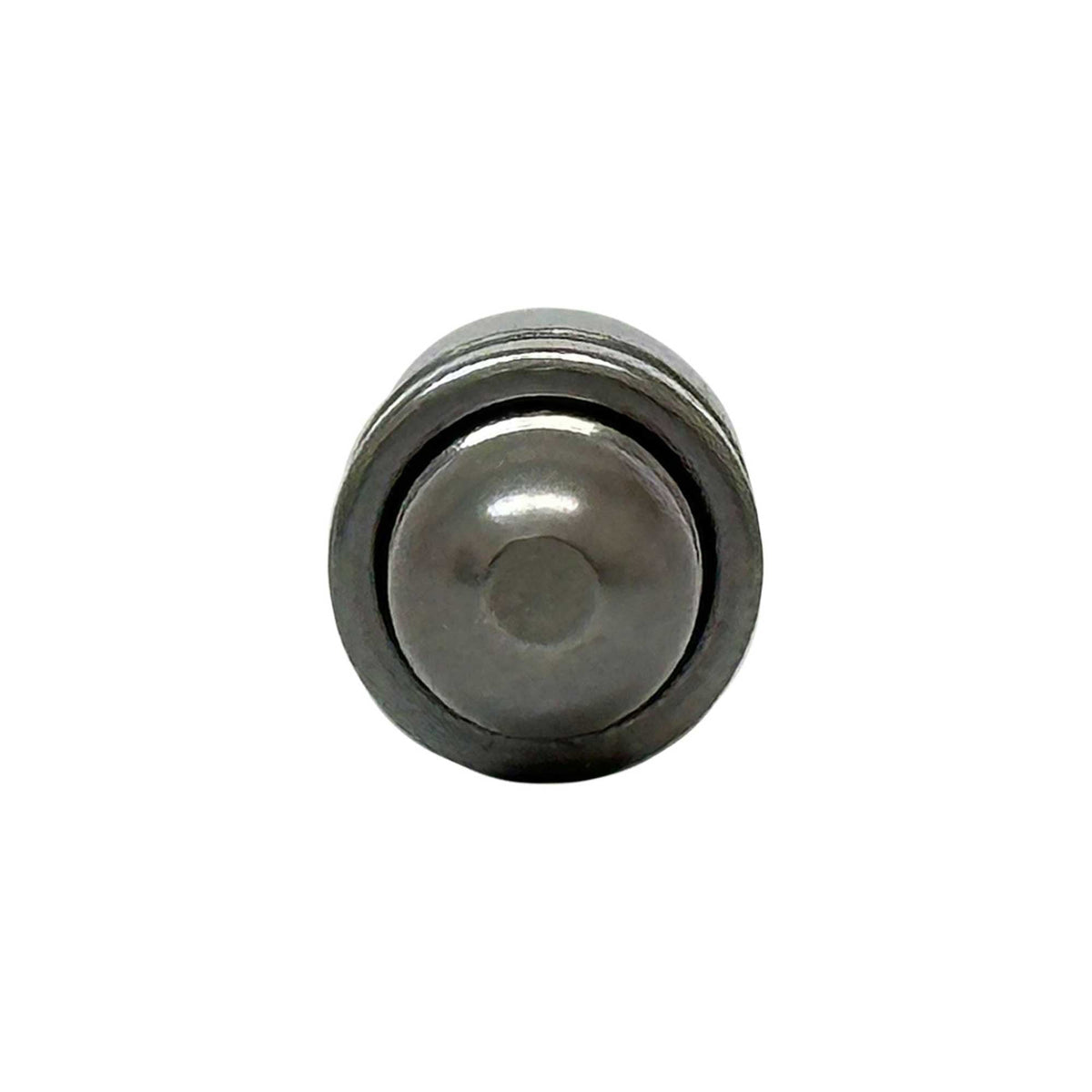 Valve Lifter 2002-2010 BMW 4.4L-4.8L
