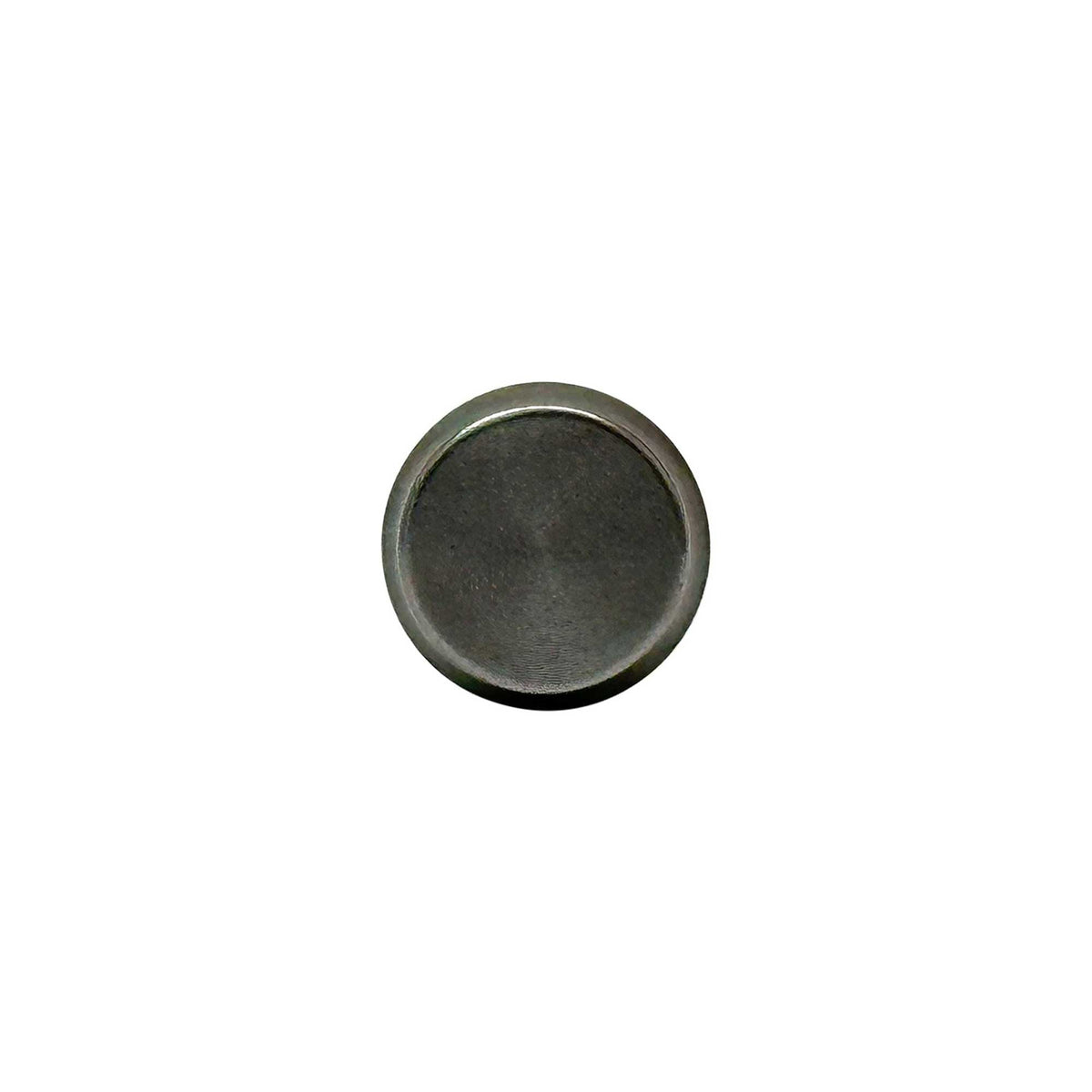 Valve Lifter 2002-2010 BMW 4.4L-4.8L