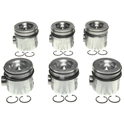 Pistons with Rings Set of 6 - 2243732WR020