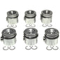 Pistons with Rings Set of 6 - 2243732WR020