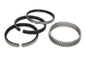 Ring Set Moly - 3150053005