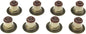 Exh Vlv Stm Oil Seal Set 99-14 Chevy LS - SS45920