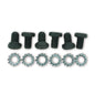 GM Flex Plate Bolts - 6710