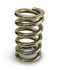 Calibrated Test Spring Medium 50-450lbs - BB1902
