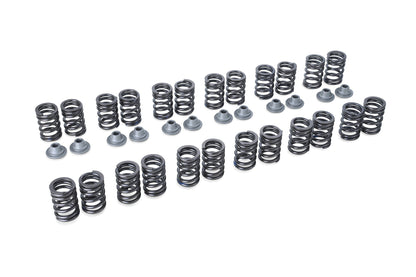Tomei Valve Springs Set