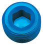 1/2in Allen Pipe Plug - 662060