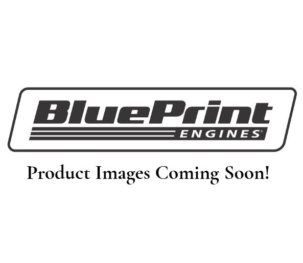 BluePrint Engines GM LS Compatible 427 C.i. Engine And T56 Manual Transmission - Standard Edition Builder Series - Holley Terminator X EFI System