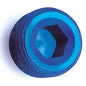 Fitting Plug/ Fitting Cap