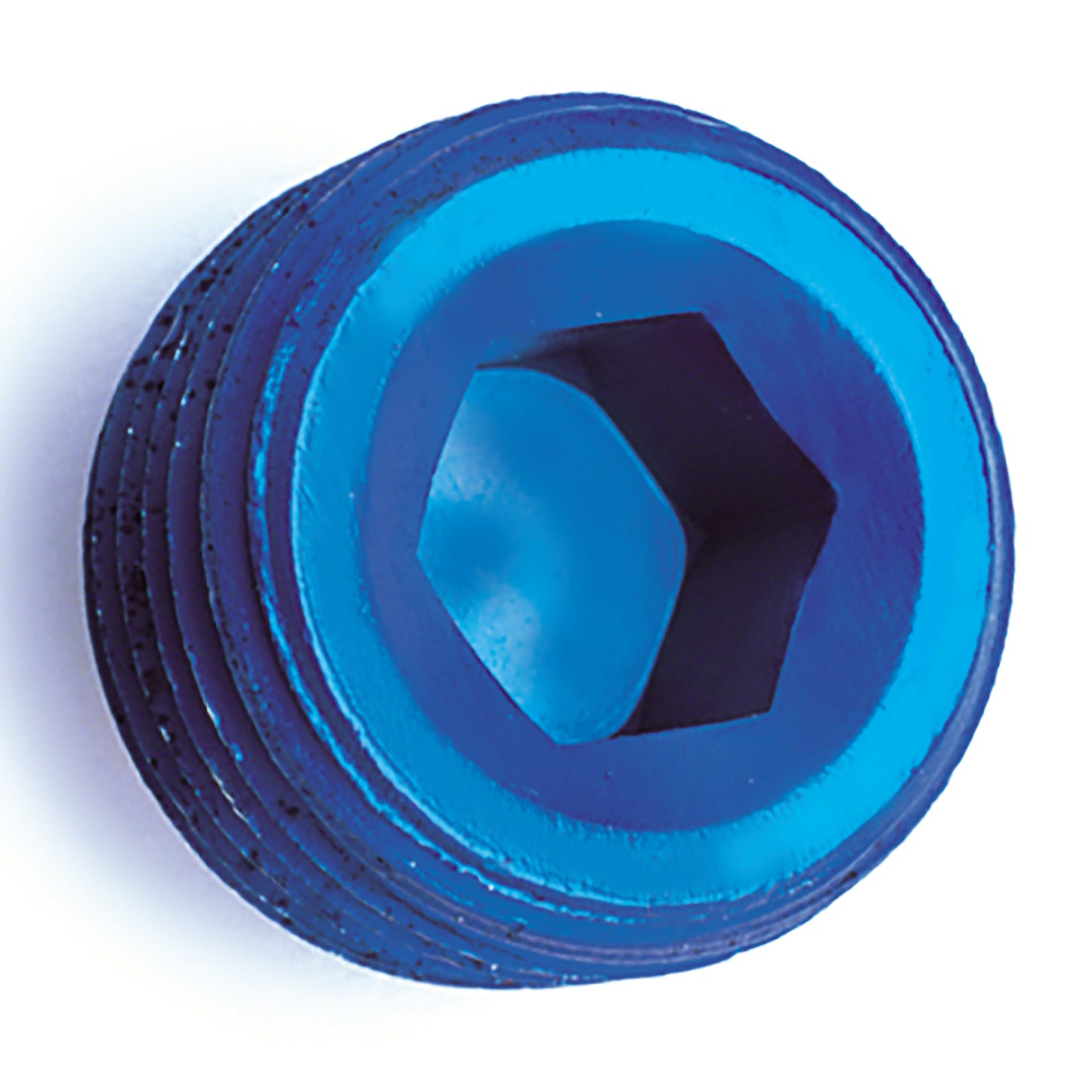 Fitting Plug/ Fitting Cap