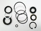 Borgeson - Seal Kit - Borgeson P Series - P/N: SK800P