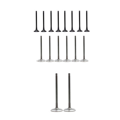 Exhaust / Intake Valve Kit 2010-2019 Hyundai,Kia 1.6L
