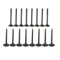 Exhaust / Intake Valve Kit 2013-2015 Chevrolet 1.2L