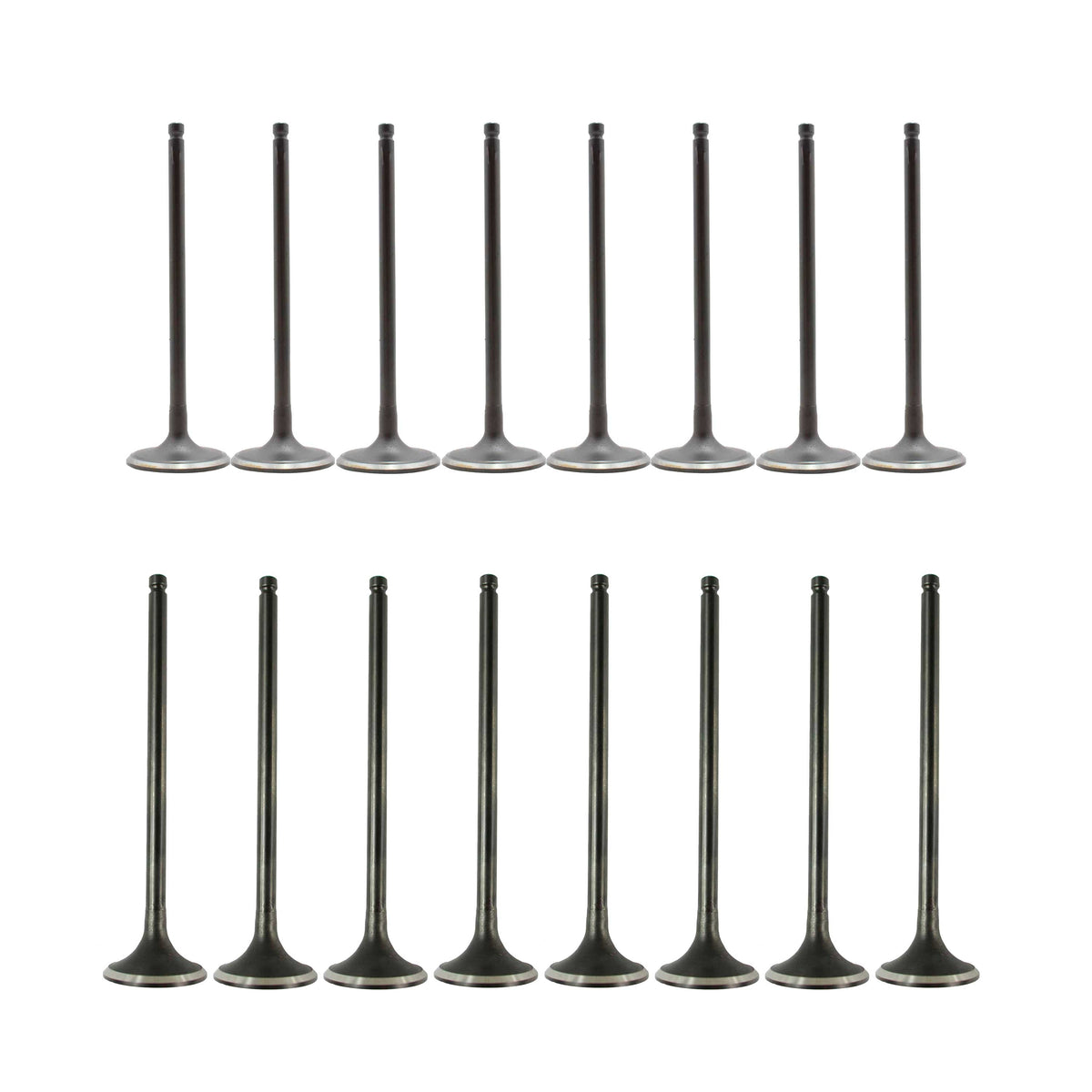 Exhaust / Intake Valve Kit 2009-2011 Nissan 1.6L