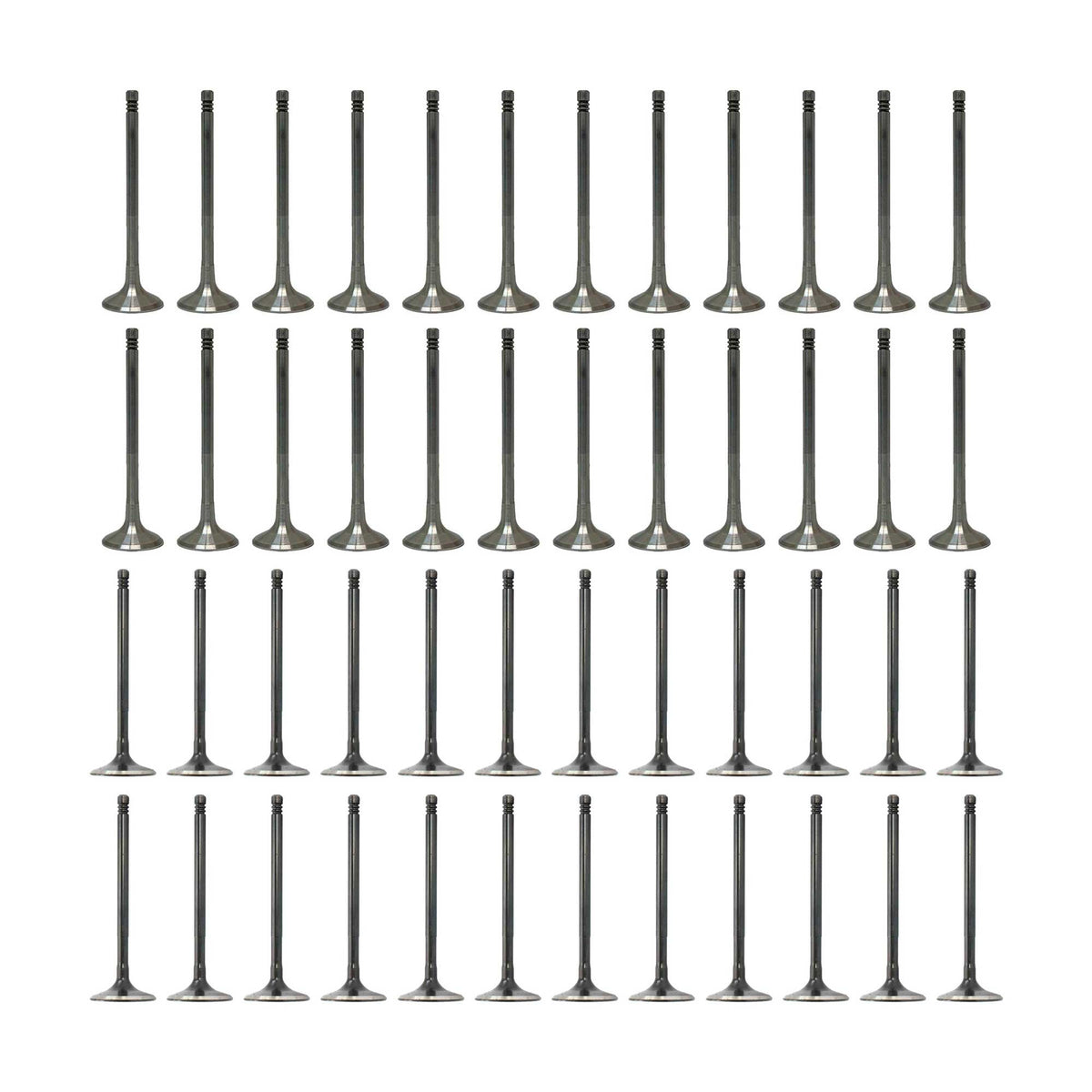 Exhaust / Intake Valve Kit 2012-2016 Audi 6.3L