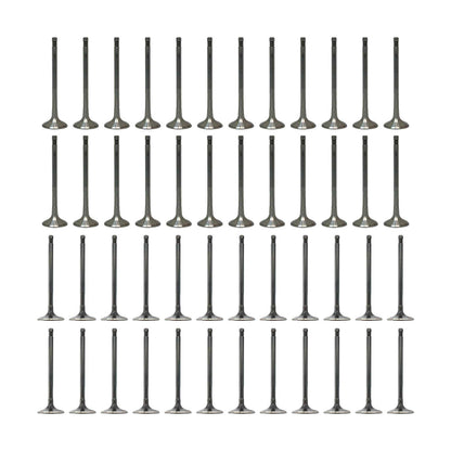 Exhaust / Intake Valve Kit 2012-2016 Audi 6.3L