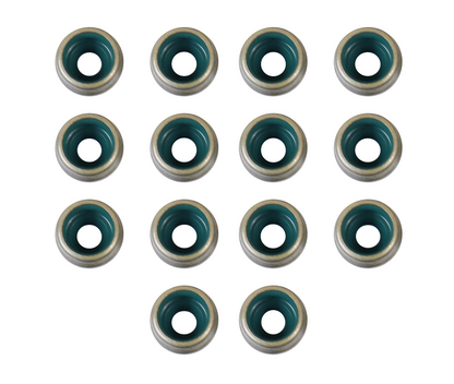 Valve Stem Oil Seal Set 2011-2021 Buick,Cadillac,Chevrolet 1.4L