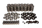 Comp Cams Kit, Dual Valve Spring, TS, LS Type