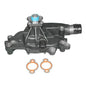 ACDelco Water Pump, Mechanical, Standard-volume, Counterclockwise Rotation, Iron, Natural - 252732