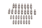 Ford Performance Parts Ford Racing Ford GT and Mustang SVT 5.4L Lash AdjusterS