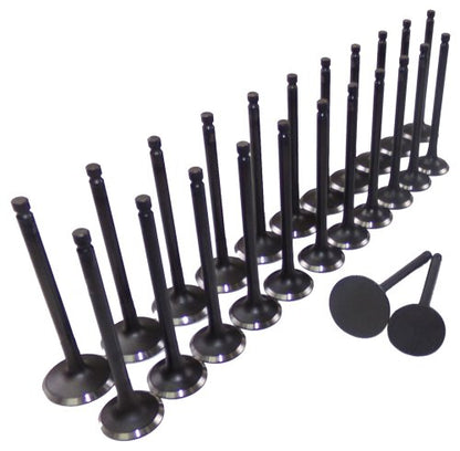 Exhaust / Intake Valve Kit 1999-2010 Hyundai,Kia 2.5L-2.7L