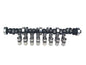 COMP Cams Thumpr Hydraulic Flat Tappet Cam and Lifter Kits - CL216025