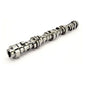 Comp Cams Camshaft, GM GEN V LT1 LTAV 27