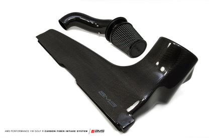 15-19 Golf R MK7 Carbon Intake, AMS AMS.21.08.0001-1
