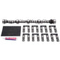Edelbrock Rollin' Thunder Hydraulic Roller Cam, Lifter, and Pushrod Kits - 22015
