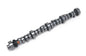 Edelbrock Rollin' Thunder Hydraulic Roller Camshafts - 2221