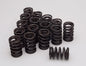 Edelbrock Sure Seat Valve Springs - 5745