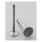 Edelbrock Stainless Steel Valves - 9787