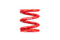 ERS Motorsport Spring