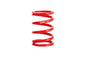 ERS Motorsport Spring