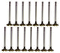 Exhaust / Intake Valve Kit 1975-2001 Ford,Lincoln,Mercury 5.0L-5.8L