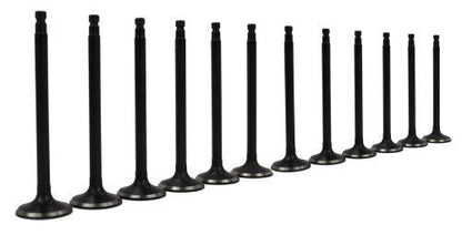 Exhaust / Intake Valve Kit 1995-2004 INFINITI,Mercury,Nissan 3.0L-3.3L