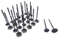 Exhaust / Intake Valve Kit 1991-2004 Acura 3.2L-3.5L