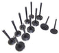 Exhaust / Intake Valve Kit 1995-1998 Audi 2.8L