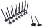 Exhaust / Intake Valve Kit 1995-2010 Chrysler,Dodge,Jeep,Plymouth 2.4L