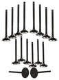 Exhaust / Intake Valve Kit 1998-2005 Chevrolet,Toyota 1.8L