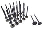 Exhaust / Intake Valve Kit 1998-2011 Chrysler,Dodge,Plymouth,Volkswagen 3.2L-4.0L