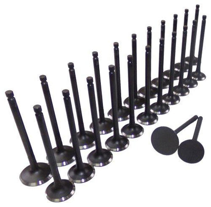 Exhaust / Intake Valve Kit 1999-2010 Hyundai,Kia 2.5L-2.7L