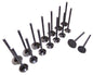 Exhaust / Intake Valve Kit 2000-2008 Chevrolet,Pontiac,Toyota 1.8L