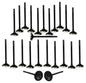 Exhaust / Intake Valve Kit 2000-2008 Jaguar, Lincoln 3.0L V6