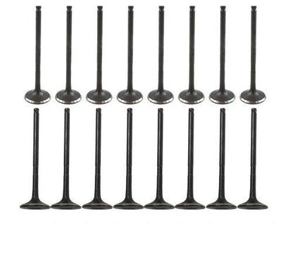 Exhaust / Intake Valve Kit 2001-2015 Lexus, Pontiac, Scion, Toyota 2.0L-2.4L L4
